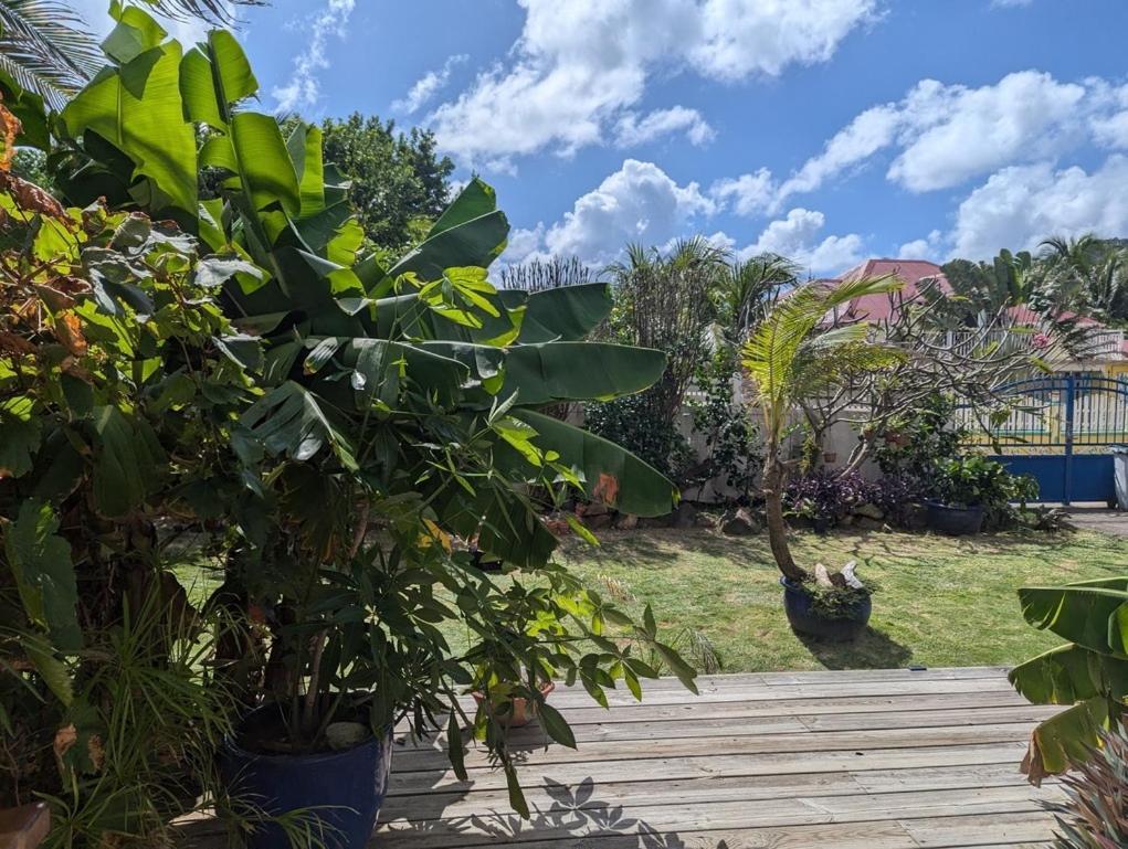 Sur L'Anse Villa Terre-De-Haut Rom bilde